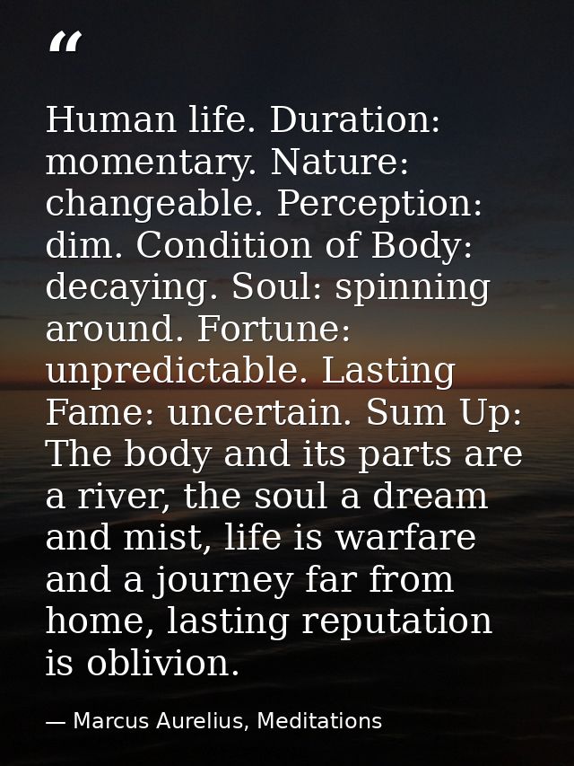 Human life. Duration: momentary. Nature: changeable. Perception: dim. Condition of Body: decaying. Soul: spinning around — Marcus Aurelius, Meditations