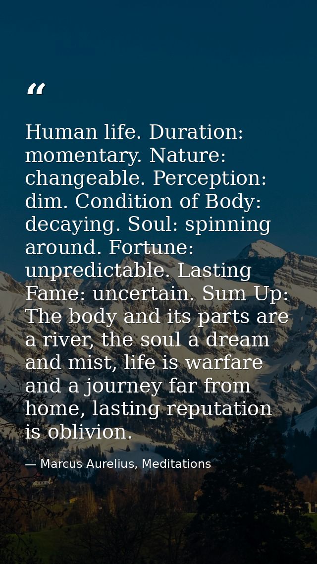 Human life. Duration: momentary. Nature: changeable. Perception: dim. Condition of Body: decaying. Soul: spinning around — Marcus Aurelius, Meditations