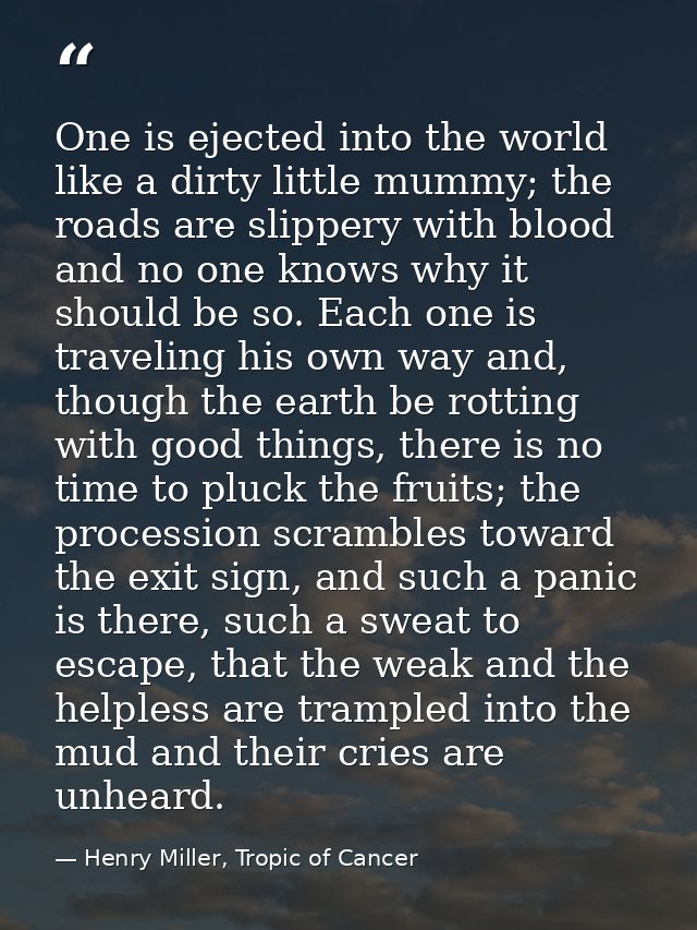 One is ejected into the world like a dirty little mummy; the roads are slippery with blood and no one knows why it shoul — Henry Miller, Tropic of Cancer