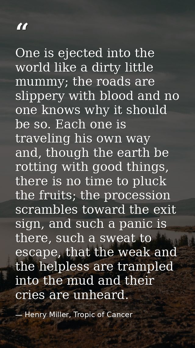One is ejected into the world like a dirty little mummy; the roads are slippery with blood and no one knows why it shoul — Henry Miller, Tropic of Cancer