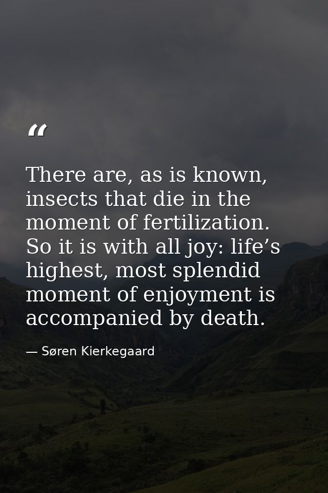 There are, as is known, insects that die in the moment of fertilization. So it is with all joy: life’s highest, most spl — Søren Kierkegaard