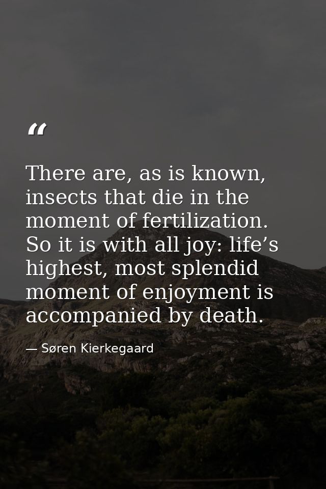There are, as is known, insects that die in the moment of fertilization. So it is with all joy: life’s highest, most spl — Søren Kierkegaard