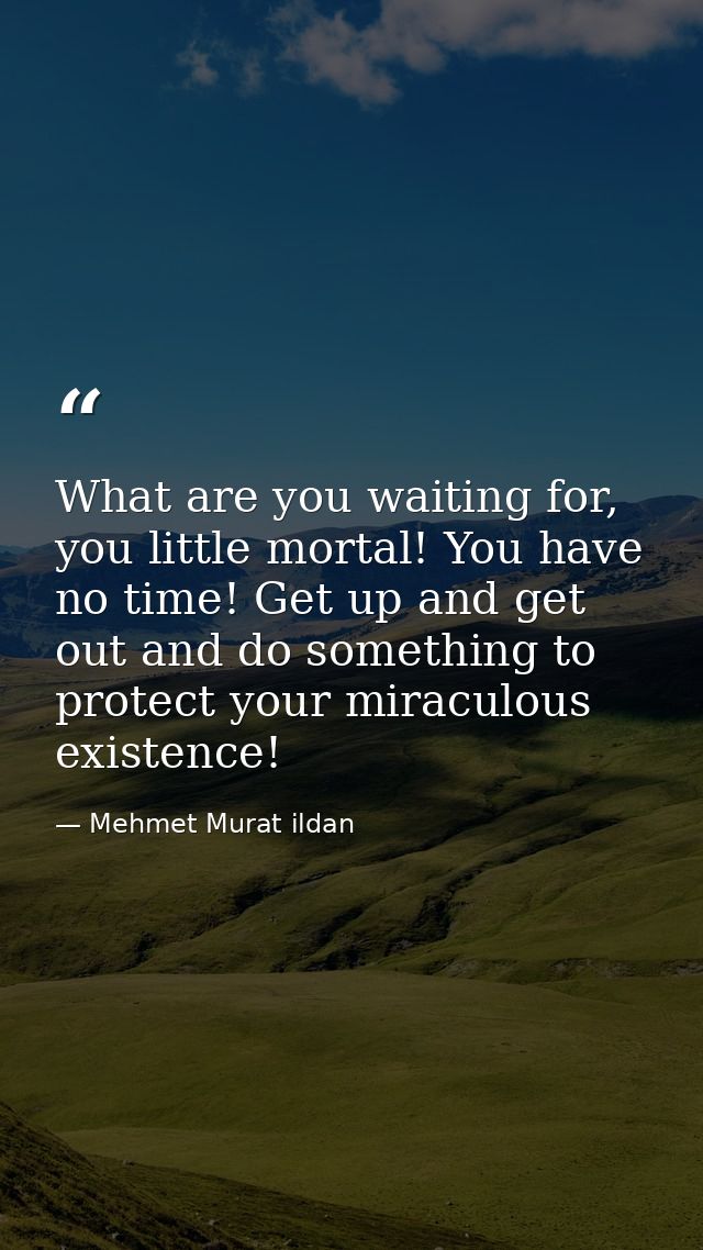What are you waiting for, you little mortal! You have no time! Get up and get out and do something to protect your mirac — Mehmet Murat ildan