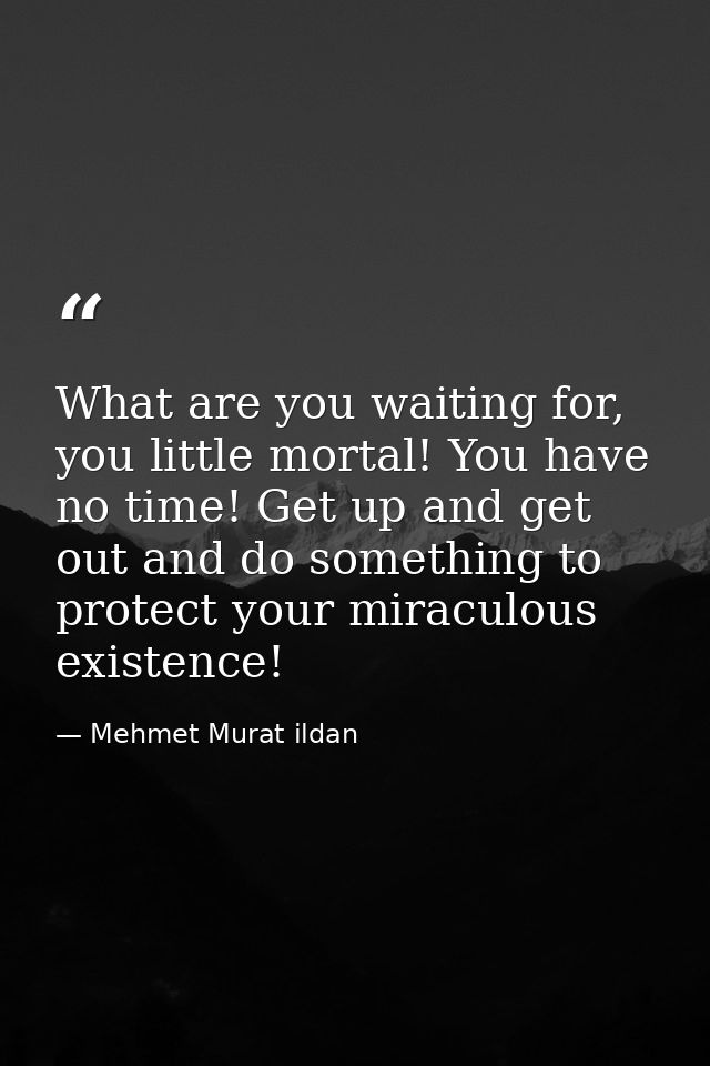 What are you waiting for, you little mortal! You have no time! Get up and get out and do something to protect your mirac — Mehmet Murat ildan