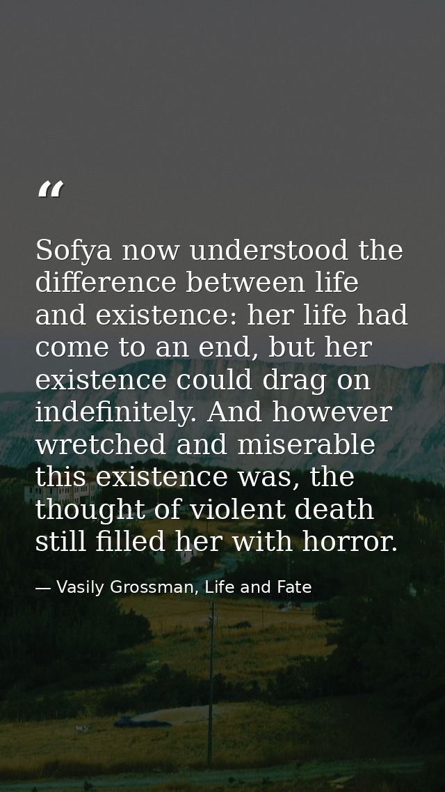 Sofya now understood the difference between life and existence: her life had come to an end, but her existence could dra — Vasily Grossman, Life and Fate