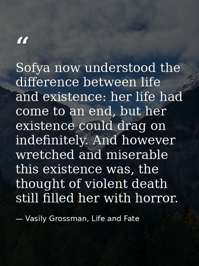 Sofya now understood the difference between life and existence: her life had come to an end, but her existence could dra — Vasily Grossman, Life and Fate