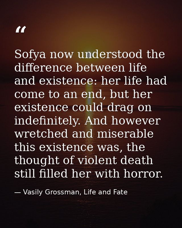 Sofya now understood the difference between life and existence: her life had come to an end, but her existence could dra — Vasily Grossman, Life and Fate