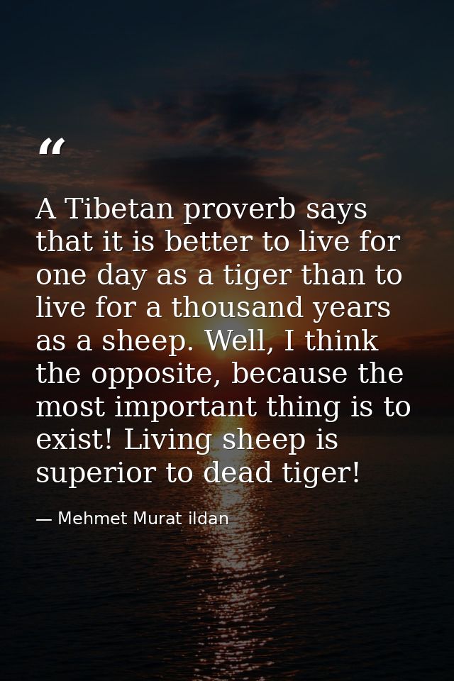 A Tibetan proverb says that it is better to live for one day as a tiger than to live for a thousand years as a sheep. We — Mehmet Murat ildan