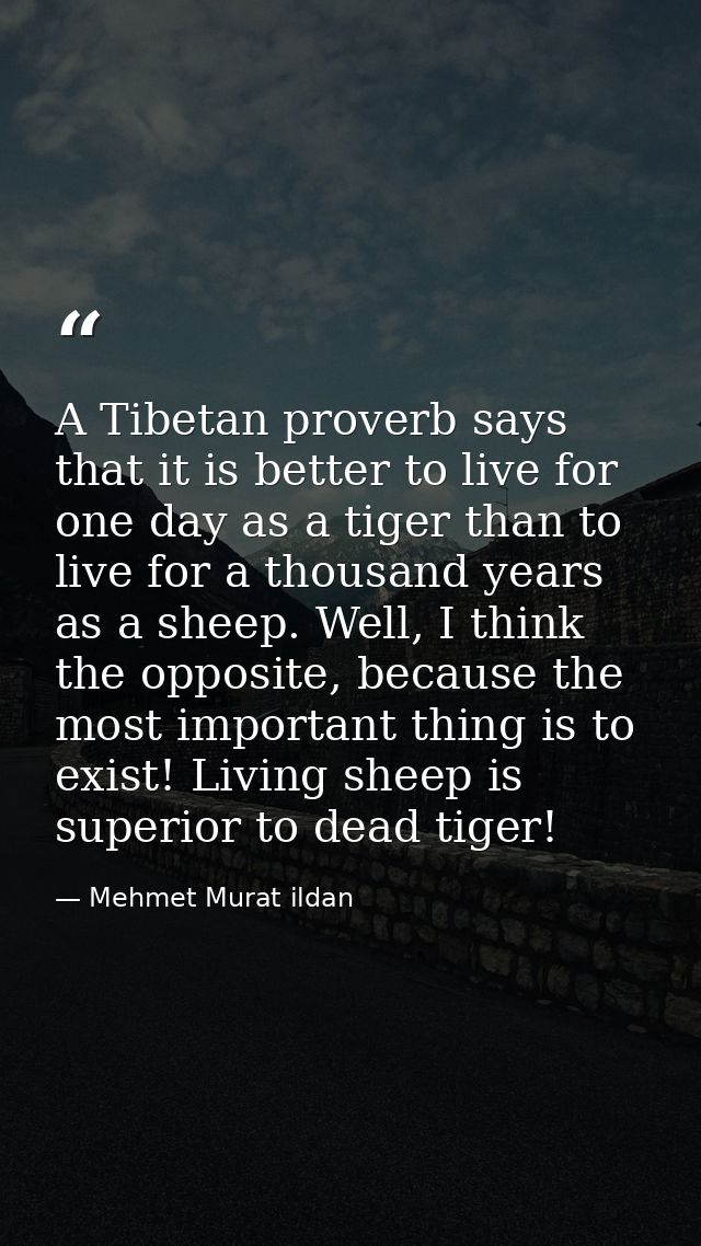 A Tibetan proverb says that it is better to live for one day as a tiger than to live for a thousand years as a sheep. We — Mehmet Murat ildan