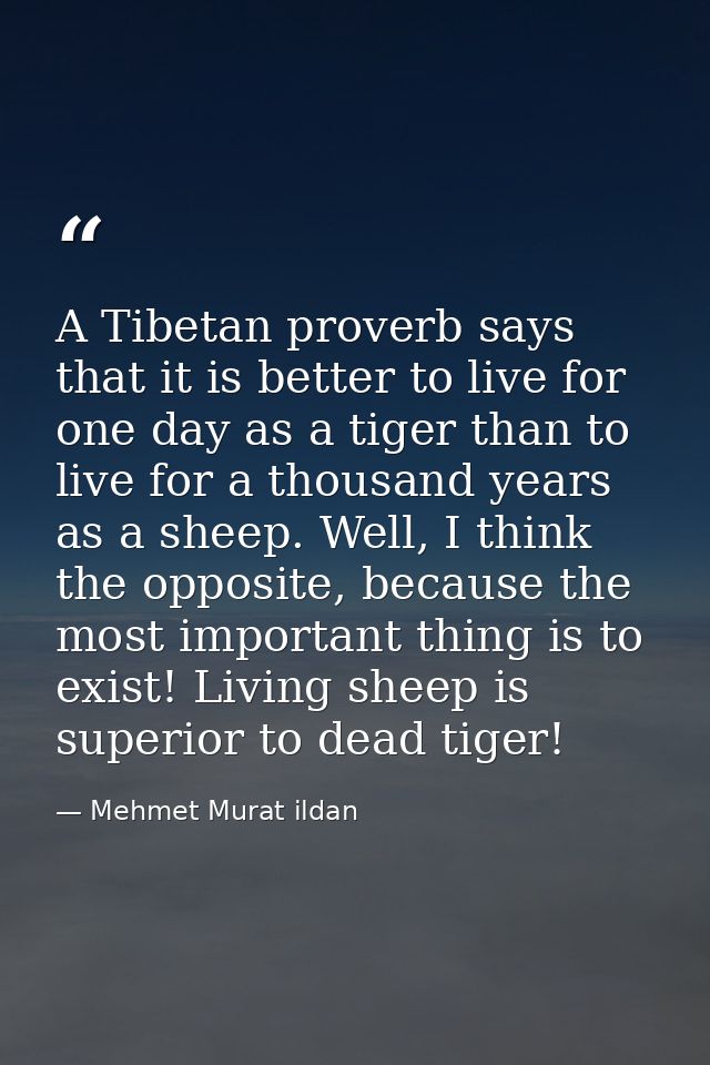 A Tibetan proverb says that it is better to live for one day as a tiger than to live for a thousand years as a sheep. We — Mehmet Murat ildan