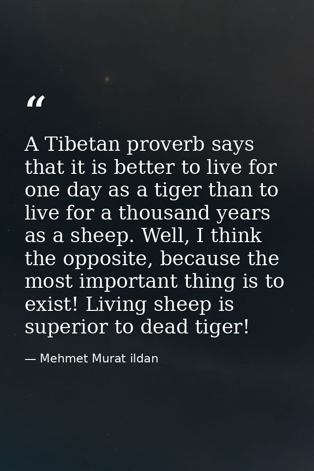 A Tibetan proverb says that it is better to live for one day as a tiger than to live for a thousand years as a sheep. We — Mehmet Murat ildan