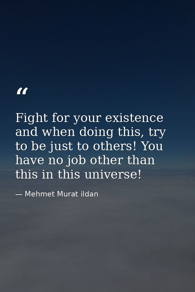 Fight for your existence and when doing this, try to be just to others! You have no job other than this in this universe — Mehmet Murat ildan