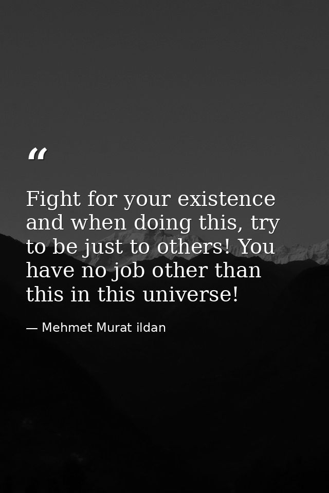 Fight for your existence and when doing this, try to be just to others! You have no job other than this in this universe — Mehmet Murat ildan