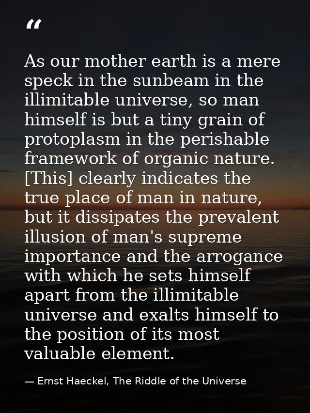 As our mother earth is a mere speck in the sunbeam in the illimitable universe, so man himself is but a tiny grain of pr — Ernst Haeckel, The Riddle of the Universe