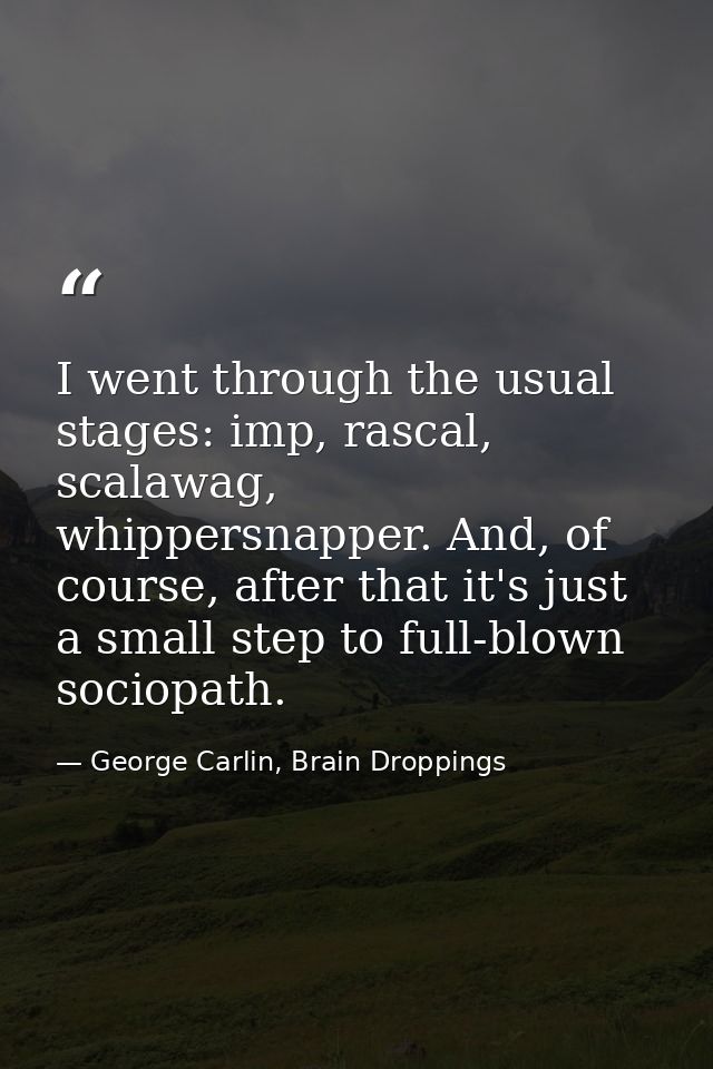 I went through the usual stages: imp, rascal, scalawag, whippersnapper. And, of course, after that it's just a small ste — George Carlin, Brain Droppings