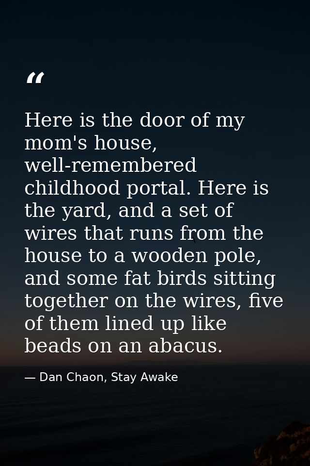 Here is the door of my mom's house, well-remembered childhood portal. Here is the yard, and a set of wires that runs fro — Dan Chaon, Stay Awake