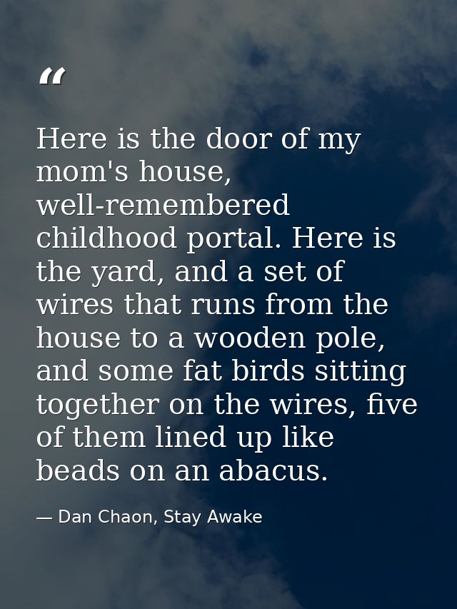 Here is the door of my mom's house, well-remembered childhood portal. Here is the yard, and a set of wires that runs fro — Dan Chaon, Stay Awake