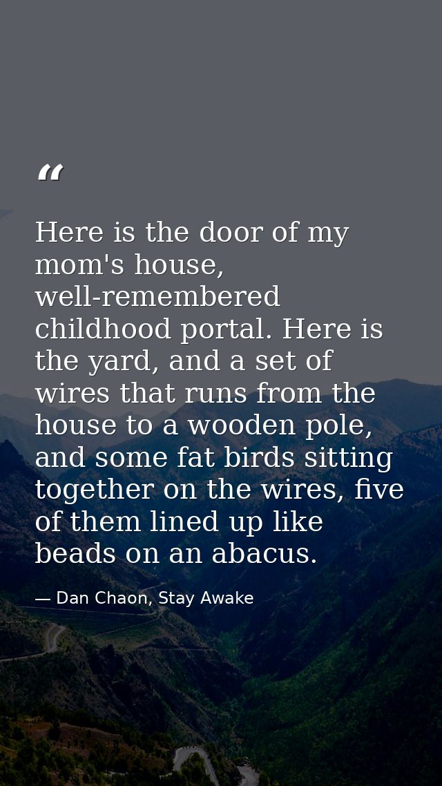 Here is the door of my mom's house, well-remembered childhood portal. Here is the yard, and a set of wires that runs fro — Dan Chaon, Stay Awake