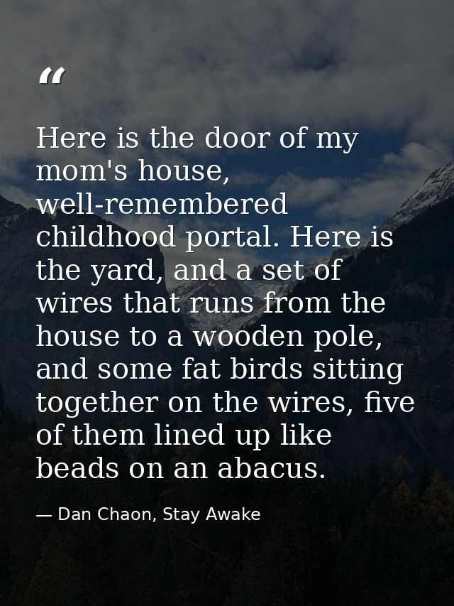 Here is the door of my mom's house, well-remembered childhood portal. Here is the yard, and a set of wires that runs fro — Dan Chaon, Stay Awake