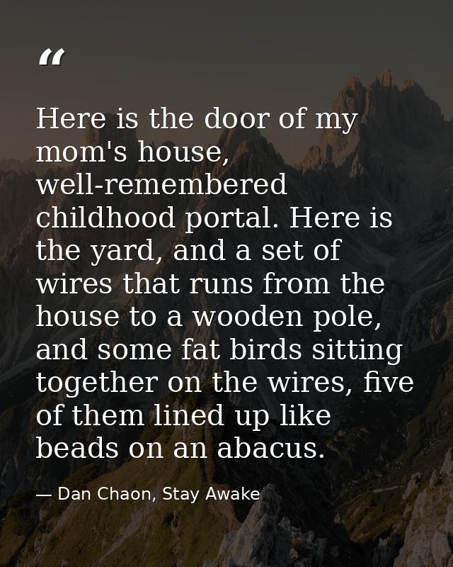 Here is the door of my mom's house, well-remembered childhood portal. Here is the yard, and a set of wires that runs fro — Dan Chaon, Stay Awake