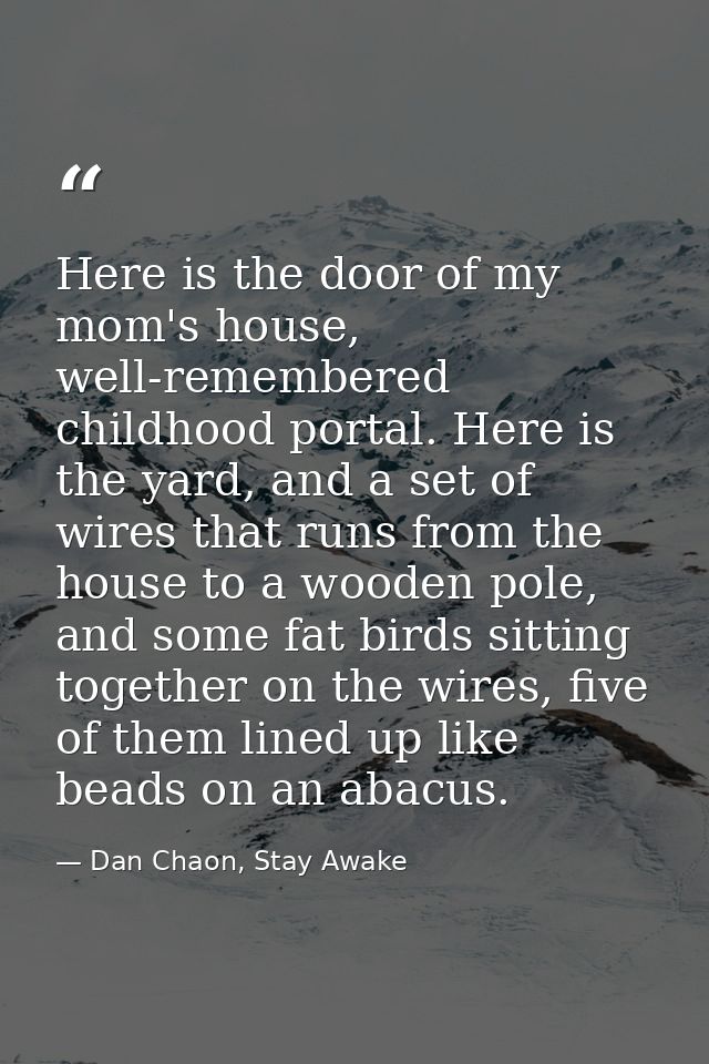Here is the door of my mom's house, well-remembered childhood portal. Here is the yard, and a set of wires that runs fro — Dan Chaon, Stay Awake