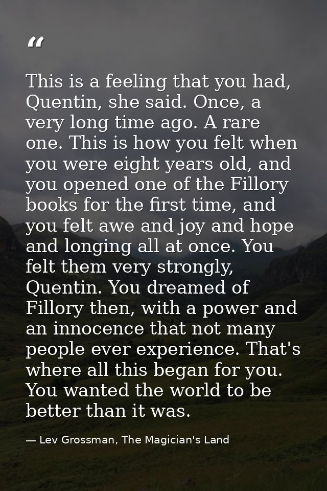 This is a feeling that you had, Quentin, she said. Once, a very long time ago. A rare one. This is how you felt when you — Lev Grossman, The Magician's Land