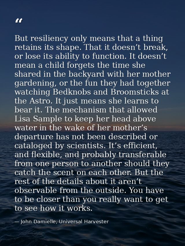 But resiliency only means that a thing retains its shape. That it doesn’t break, or lose its ability to function. It doe — John Darnielle, Universal Harvester