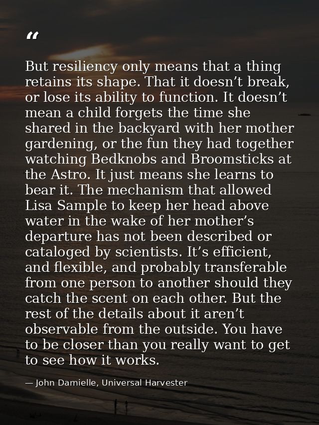 But resiliency only means that a thing retains its shape. That it doesn’t break, or lose its ability to function. It doe — John Darnielle, Universal Harvester