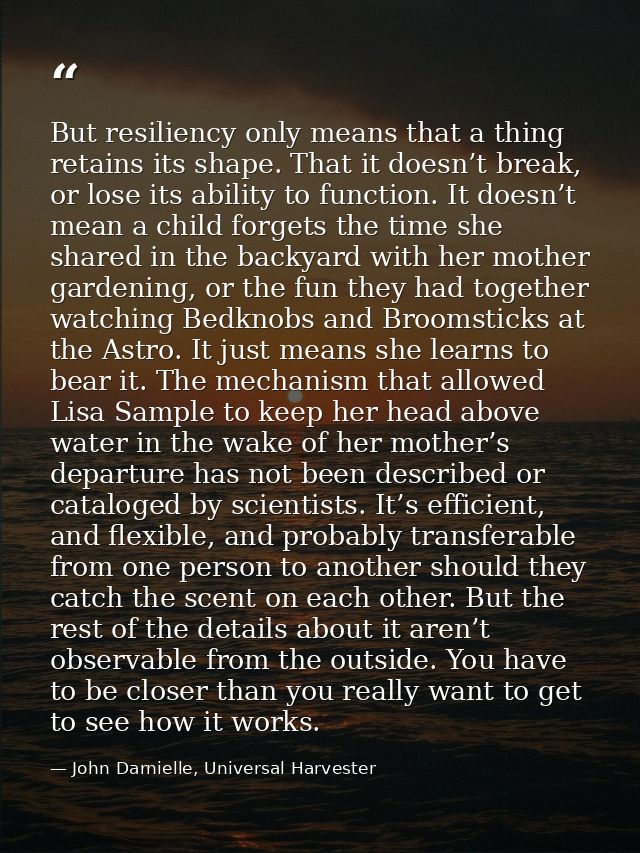But resiliency only means that a thing retains its shape. That it doesn’t break, or lose its ability to function. It doe — John Darnielle, Universal Harvester