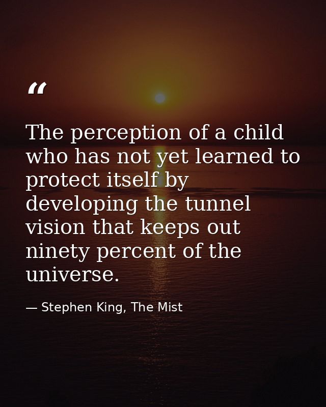 The perception of a child who has not yet learned to protect itself by developing the tunnel vision that keeps out ninet — Stephen King, The Mist