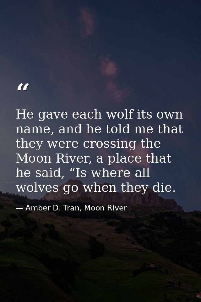 He gave each wolf its own name, and he told me that they were crossing the Moon River, a place that he said, “Is where a — Amber D. Tran, Moon River