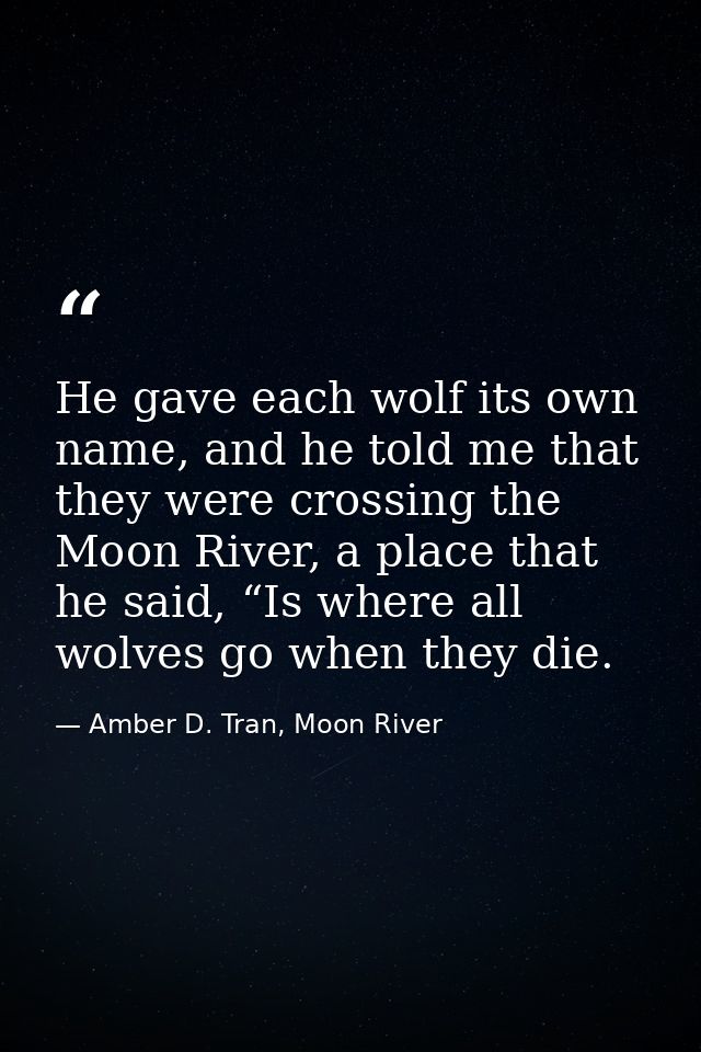 He gave each wolf its own name, and he told me that they were crossing the Moon River, a place that he said, “Is where a — Amber D. Tran, Moon River