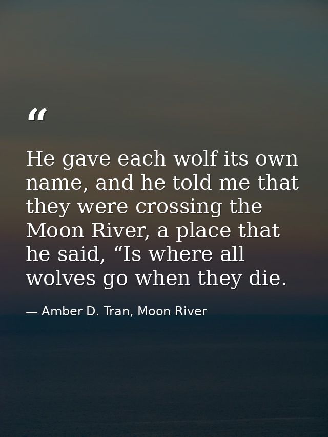 He gave each wolf its own name, and he told me that they were crossing the Moon River, a place that he said, “Is where a — Amber D. Tran, Moon River