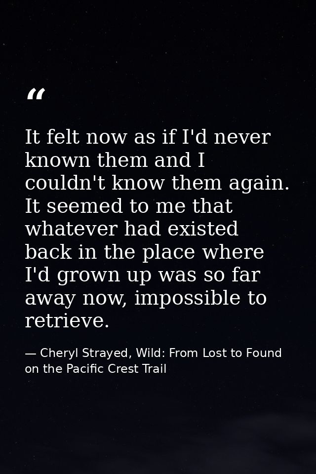 It felt now as if I'd never known them and I couldn't know them again. It seemed to me that whatever had existed back in — Cheryl Strayed, Wild: From Lost to Found on the Pacific Crest Trail