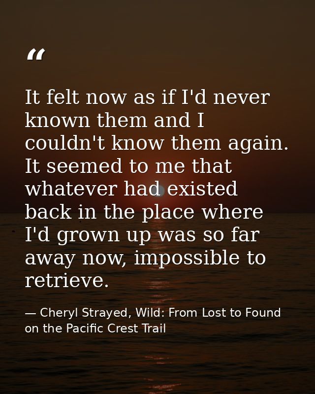 It felt now as if I'd never known them and I couldn't know them again. It seemed to me that whatever had existed back in — Cheryl Strayed, Wild: From Lost to Found on the Pacific Crest Trail