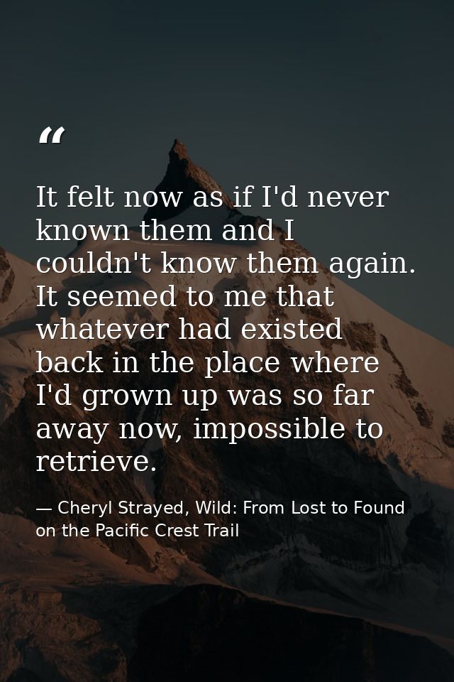 It felt now as if I'd never known them and I couldn't know them again. It seemed to me that whatever had existed back in — Cheryl Strayed, Wild: From Lost to Found on the Pacific Crest Trail