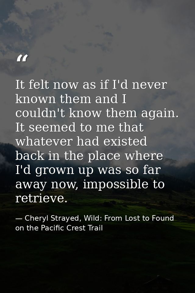 It felt now as if I'd never known them and I couldn't know them again. It seemed to me that whatever had existed back in — Cheryl Strayed, Wild: From Lost to Found on the Pacific Crest Trail