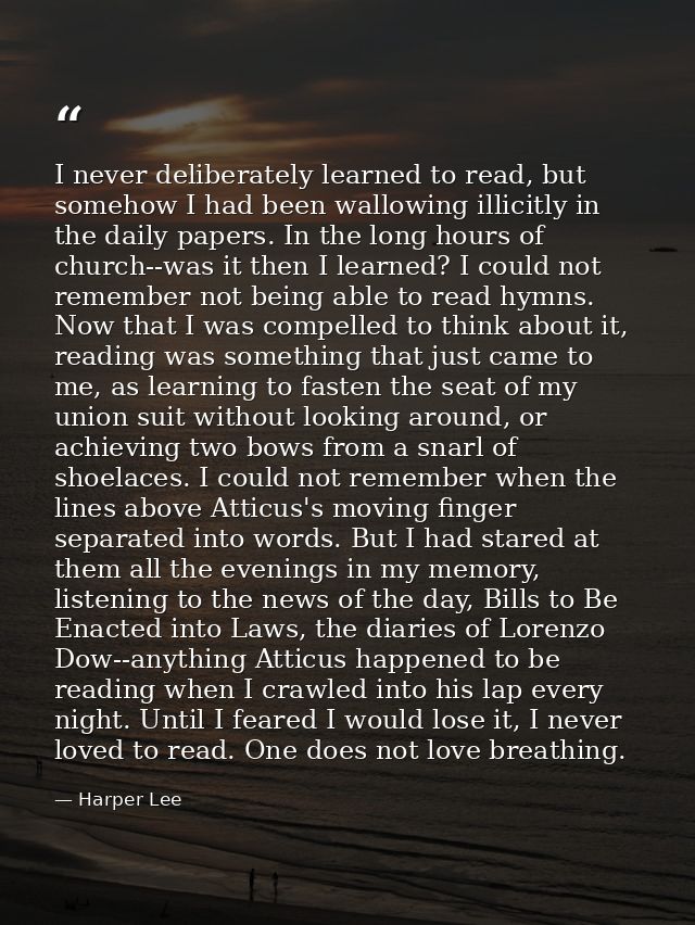 I never deliberately learned to read, but somehow I had been wallowing illicitly in the daily papers. In the long hours  — Harper Lee