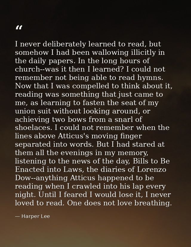 I never deliberately learned to read, but somehow I had been wallowing illicitly in the daily papers. In the long hours  — Harper Lee