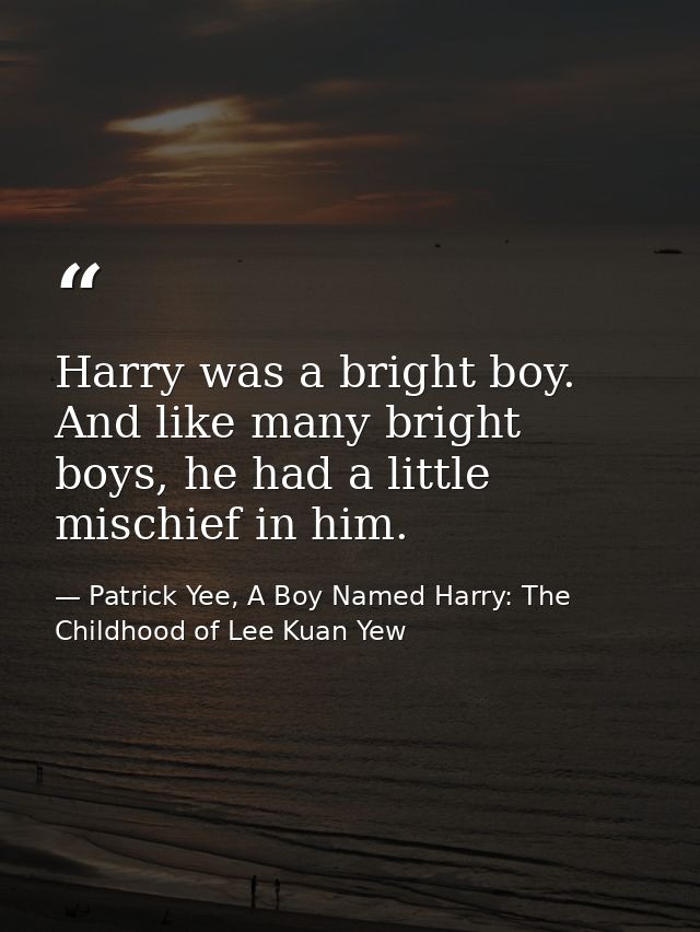 Harry was a bright boy. And like many bright boys, he had a little mischief in him. — Patrick Yee, A Boy Named Harry: The Childhood of Lee Kuan Yew