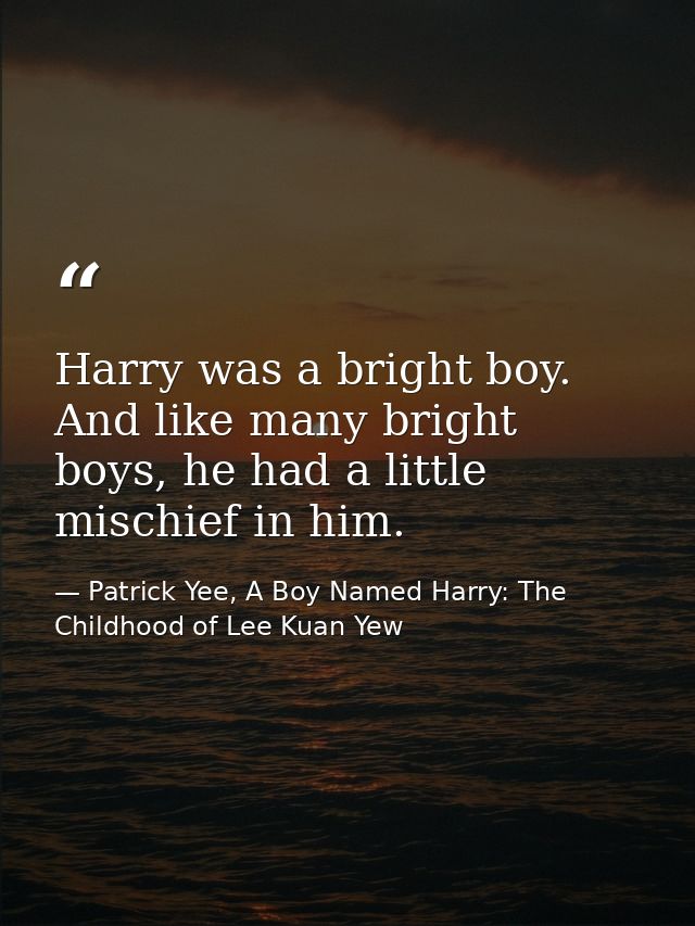 Harry was a bright boy. And like many bright boys, he had a little mischief in him. — Patrick Yee, A Boy Named Harry: The Childhood of Lee Kuan Yew