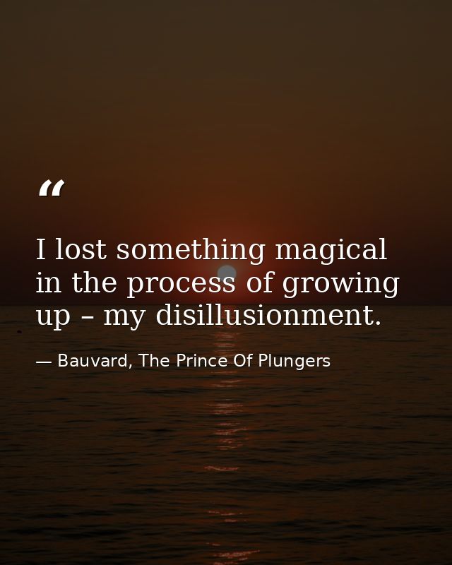 I lost something magical in the process of growing up – my disillusionment. — Bauvard, The Prince Of Plungers