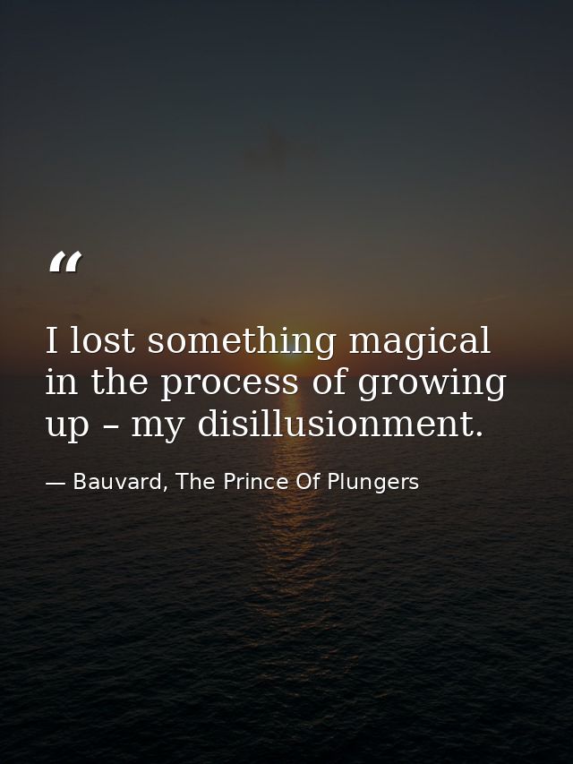 I lost something magical in the process of growing up – my disillusionment. — Bauvard, The Prince Of Plungers