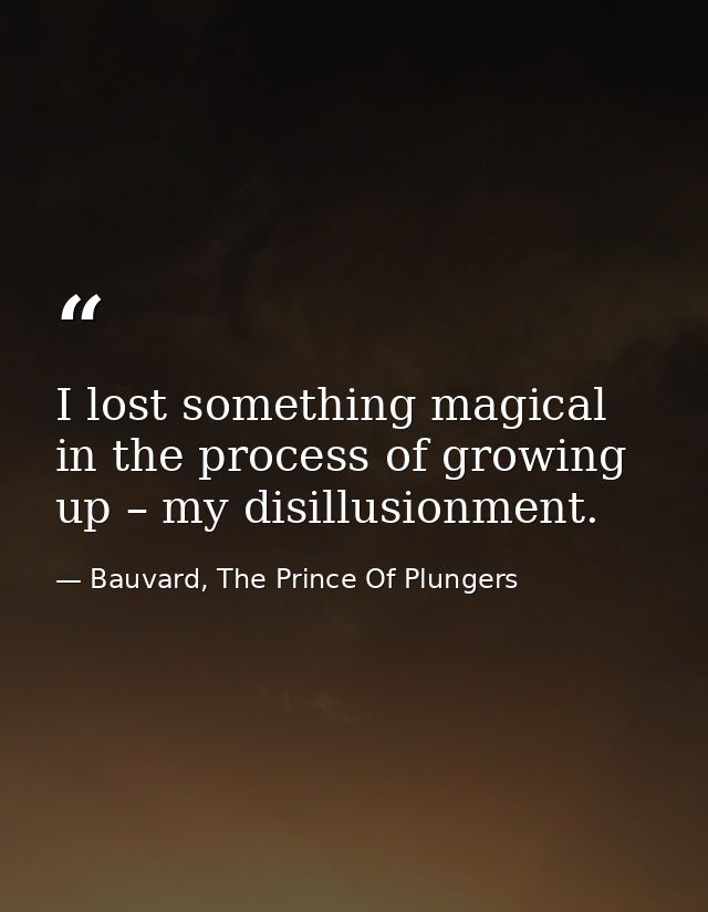 I lost something magical in the process of growing up – my disillusionment. — Bauvard, The Prince Of Plungers
