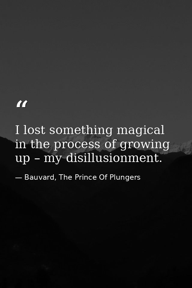 I lost something magical in the process of growing up – my disillusionment. — Bauvard, The Prince Of Plungers