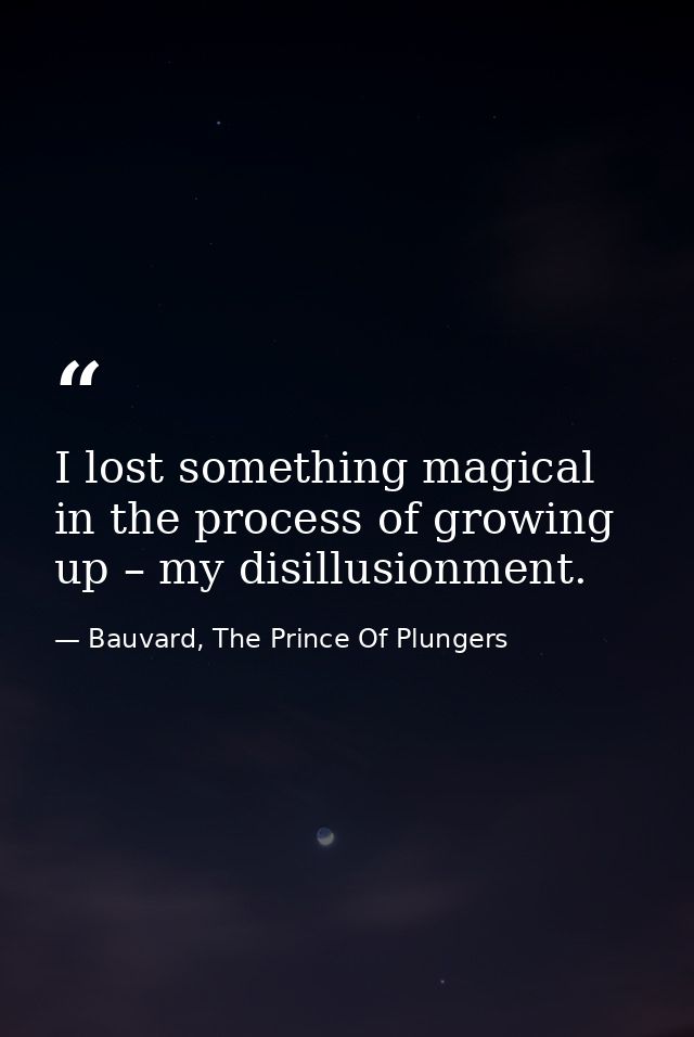 I lost something magical in the process of growing up – my disillusionment. — Bauvard, The Prince Of Plungers