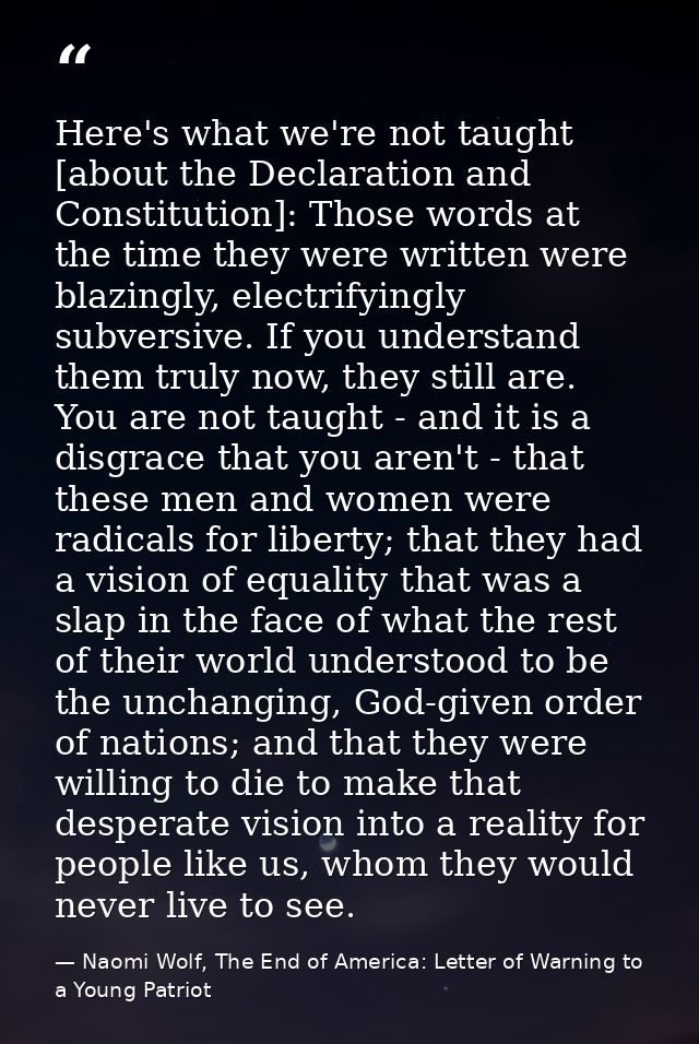 Here's what we're not taught [about the Declaration and Constitution]: Those words at the time they were written were bl — Naomi Wolf, The End of America: Letter of Warning to a Young Patriot