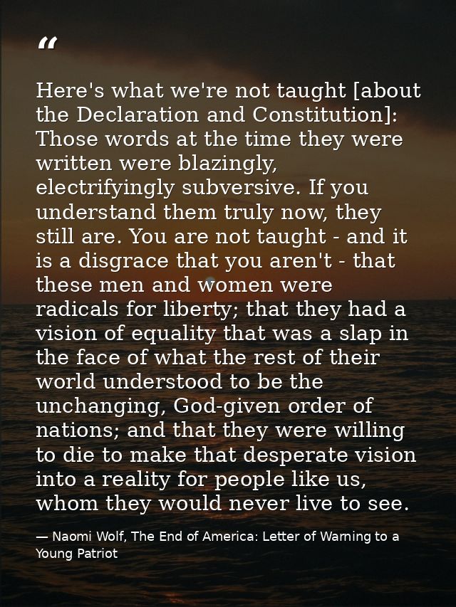 Here's what we're not taught [about the Declaration and Constitution]: Those words at the time they were written were bl — Naomi Wolf, The End of America: Letter of Warning to a Young Patriot