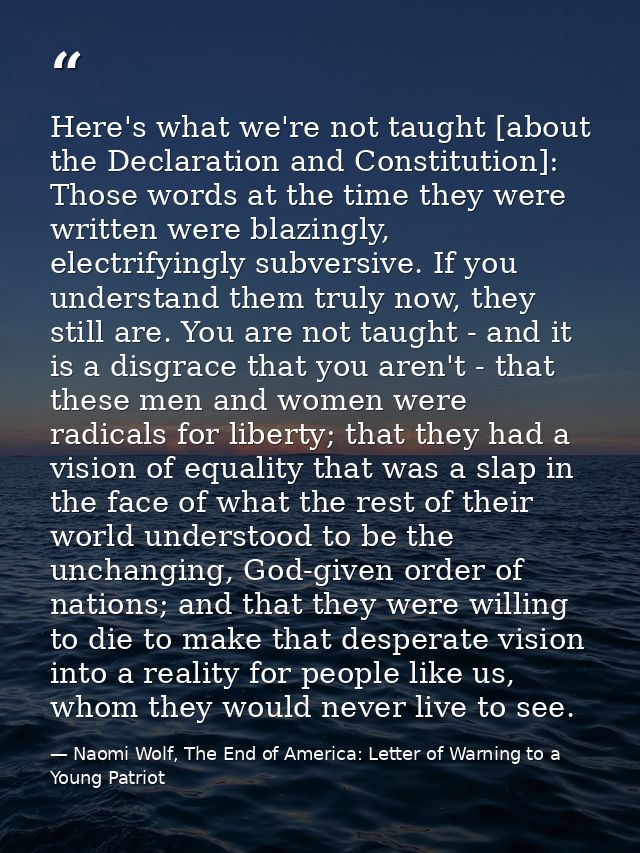 Here's what we're not taught [about the Declaration and Constitution]: Those words at the time they were written were bl — Naomi Wolf, The End of America: Letter of Warning to a Young Patriot