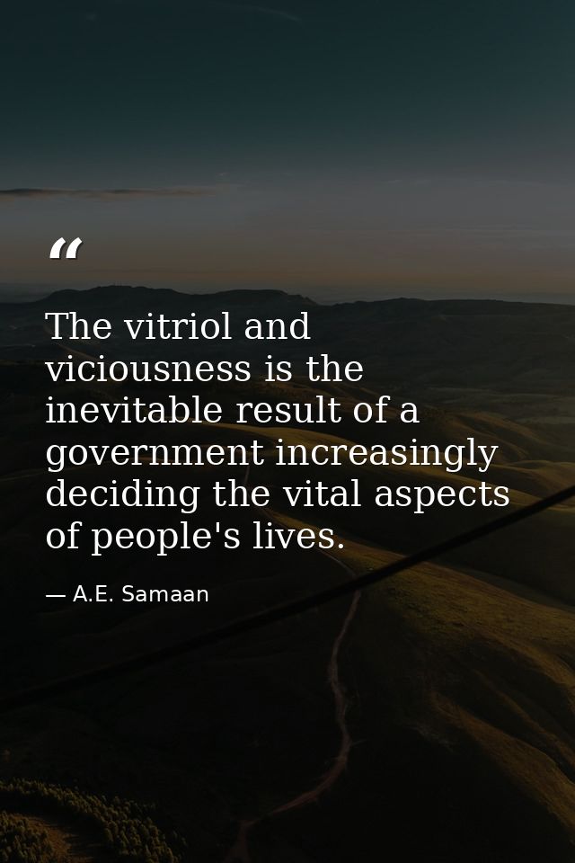 The vitriol and viciousness is the inevitable result of a government increasingly deciding the vital aspects of people's — A.E. Samaan